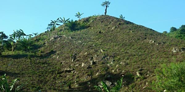 214. Kukuřičné pole, Palenque