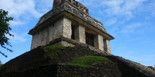 223. Palenque 3