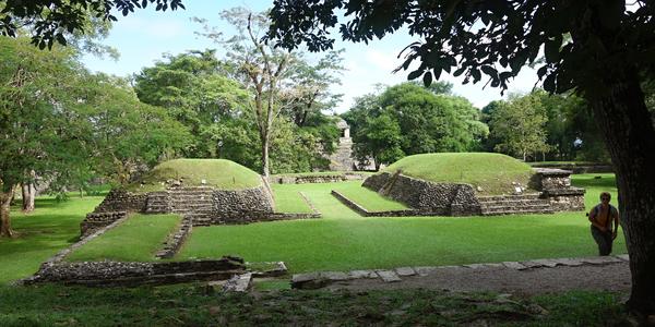223. Palenque 6