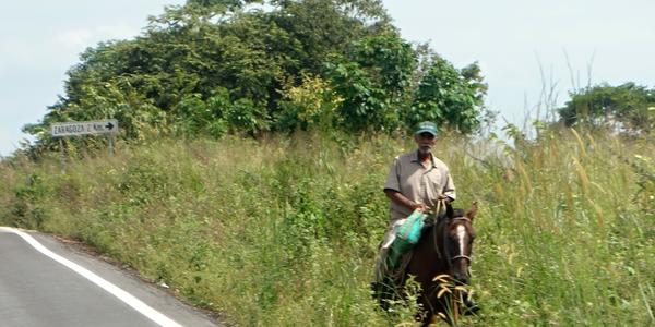 230. Na silnici, Emiliano Zapata