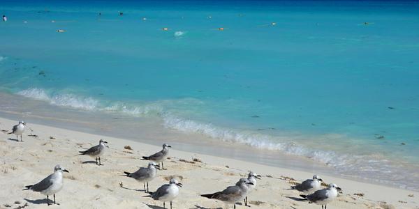 290. Barvy Karibiku, Cancún 3
