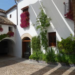 18. Cordoba, světlo a stín