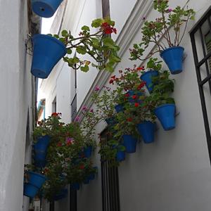 20. Calla de las Flores, Cordoba