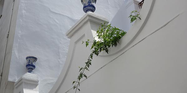 27. Sevilla bílá