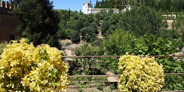 81. Pohled na Generalife, Alhambra