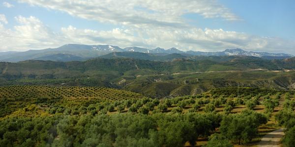 95. Cestou z Granady do Guadixu