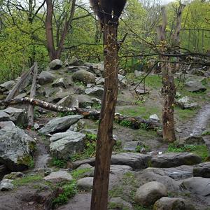 027. Na hlídce, Skansen