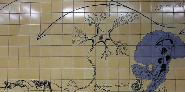 112. Metro, stanice Universitetet 8