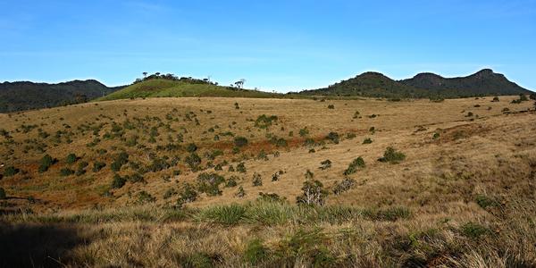 162. Krajina NP Horton plains