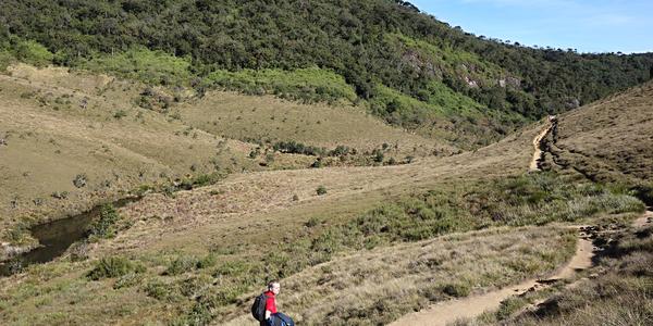177. Na vycházce v NP Horton plains