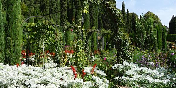 103. Zářijové zahrady Generalife
