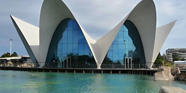 135. Oceanografické muzeum, Valencie
