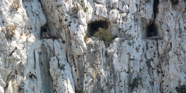 74. Gibraltar, detail skal