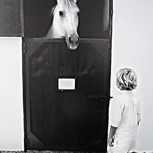 116. Černá a bílá, Ronda