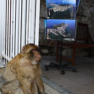 129. Ve vchodu do obchodu, Gibraltar