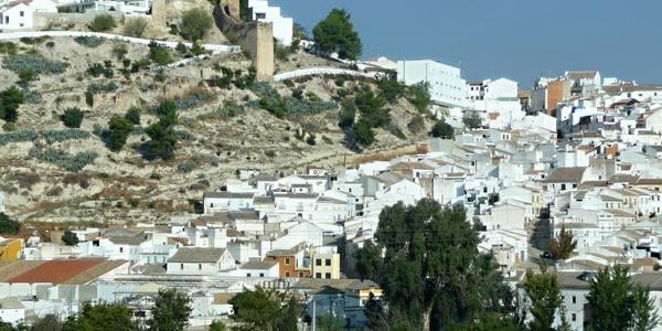 32. Baena