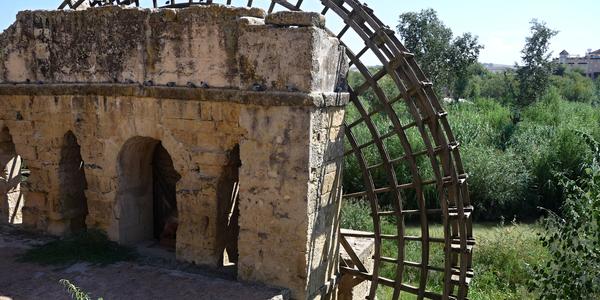 50. Památka na Římany, Cordoba