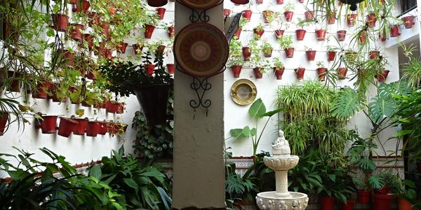 51. Puntíkované pátio, Cordoba