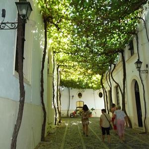 80. Jerez de la Frontera