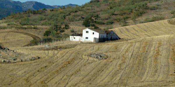87. Jako malba, španělská krajina