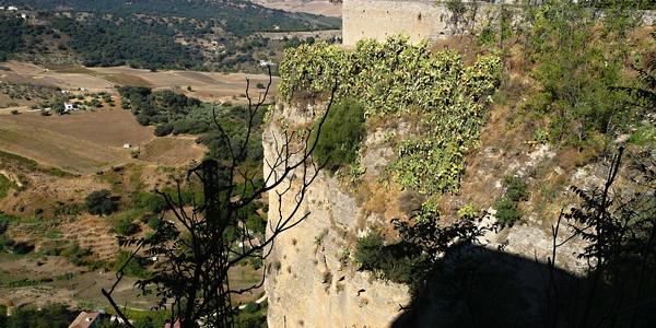 91. Ronda