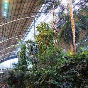 18. Interiér starého nádraží Atocha 3