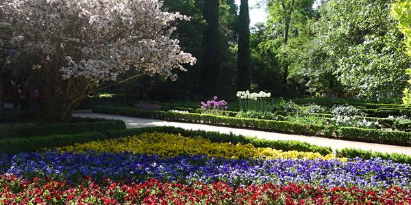 25. Madrid, botanická zahrada 1