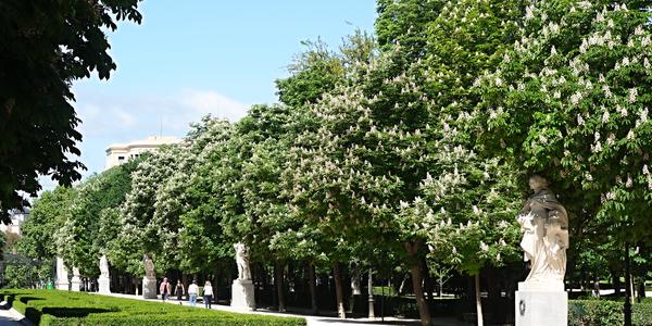 32. V parku El Buen Retiro