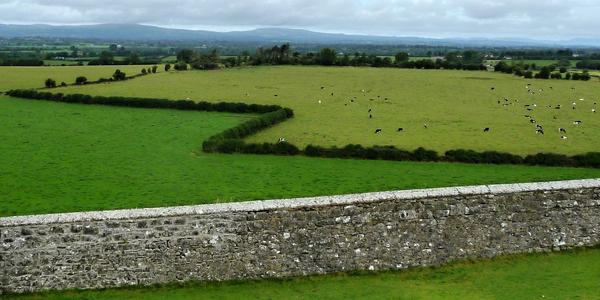 4. Rock of Cashel, podhradí