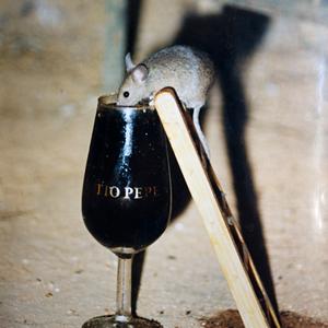 101. Pro toho, kdo nevěří, Tio Pepe, Jerez