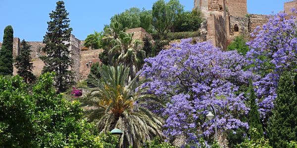 124. Alcazaba, Malaga 2
