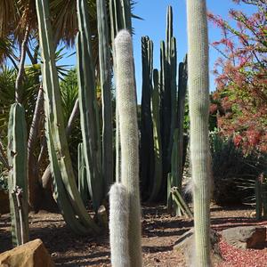 156. Park La Paloma, Benalmadena 4