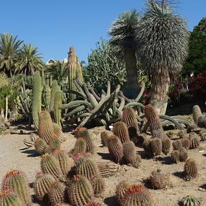 159. Park La Paloma, Benalmadena 5