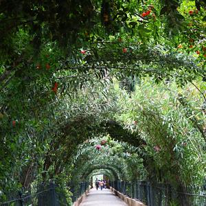 5. Světlo a stín, Generalife