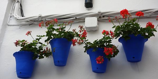 57. Cordoba