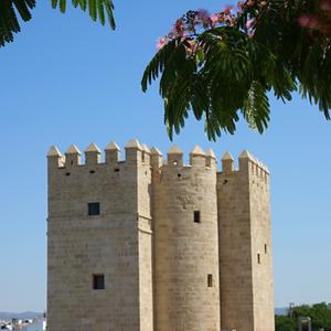 62. Pevnost Calahorra