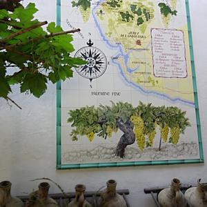 91. Na dvorku firmy Tio Pepe, Jerez