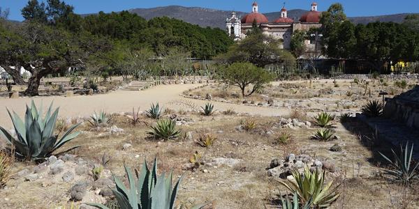 137. Mitla, kostel sv. Pavla