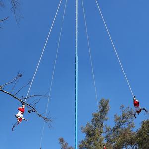 21. Voladores, D.F.3