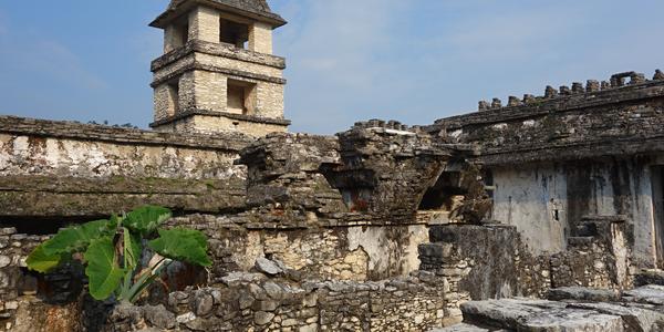 212. Palenque 9