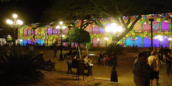 230. Noční Campeche