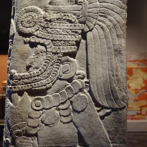 30. Antropologické muzeum, detail mayské stély