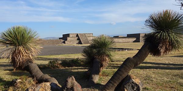 66. Teotihuacán, Idria columnaris