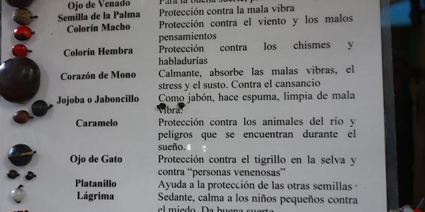 190. Pralesní semena, Palenque