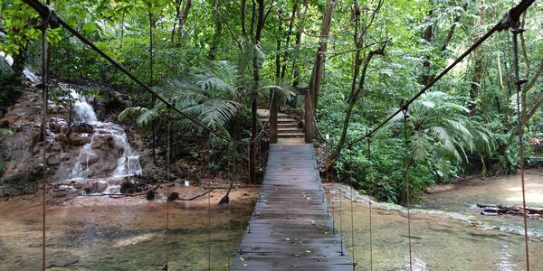 205. Na stezce pralesem, Palenque