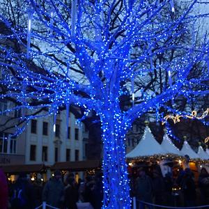 6. Dresden, advent