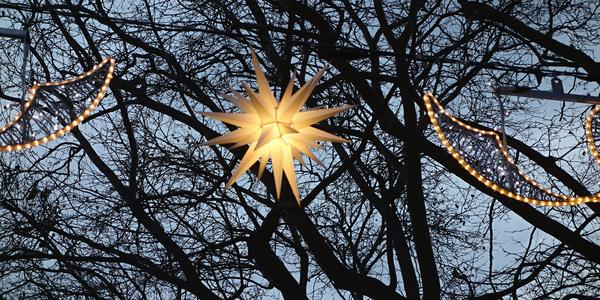 8. Dresden, advent