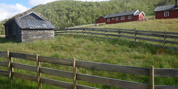 087. Hemsedalsfjella b