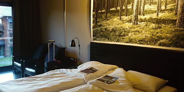 088. Norefjellhotel 2