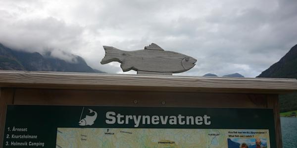 009. Na jezeře Stryn